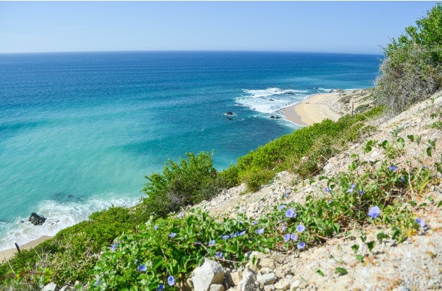 Baja California coastline