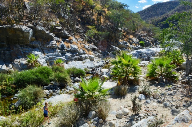 Hiking day tour in Fox Canyon near Los Cabos with High Tide adventure tours