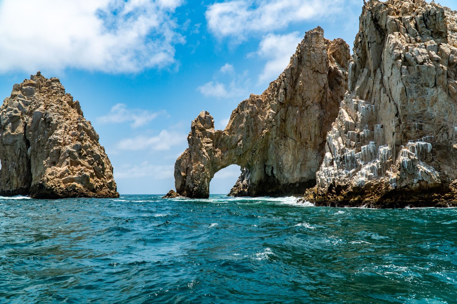 Cabo Sea Mexican Hightide