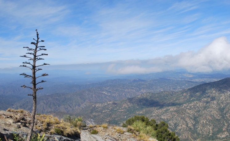 El Picacho walk - overlooking a rocky valley with clouds at eye level.